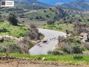 Saktouria Kreta Saktouria Villa ebenerdig mit Meerblick und priv. Pool Haus kaufen